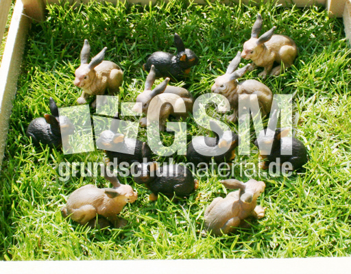 Kaninchen-12.jpg